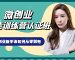 微创业全能训练营认证班课程,从理论知识与实际案例手把手指导创业新手如何从零到有-资源云