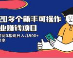 20多个新手可操作的副业赚钱项目:业余时间0基础日入几500+实操分享-资源云