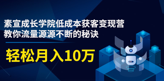 素宣成长学院低成本获客变现营，教你流量源源不断的秘诀，轻松月入10万-资源云
