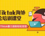 最新Tiktok海外掘金培训课堂:带你玩转Tiktok暴力涨粉轻松变现-资源云