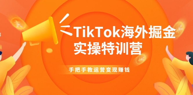 TikTok海外掘金实操特训营：手把手教运营变现赚钱-资源云