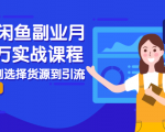 2021闲鱼副业月入过万实战课程:从开店到选择货源到引流,全程实战教学-资源云