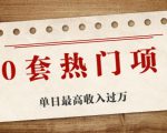 30套热门项目:单日最高收入过万 (网赚项目、朋友圈、涨粉套路、抖音、快手)等-资源云