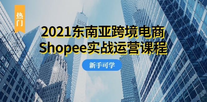 2021东南亚跨境电商Shopee实战运营课程，0基础、0经验、0投资的副业项目-资源云
