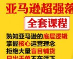 亚马逊超强落地实操全案课程:拒绝大量盲目铺货,日出千单不在话下-资源云