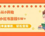生财小红书涨粉变现:新账号从0开始3个月小红书涨粉5W+实现单篇爆粉-资源云