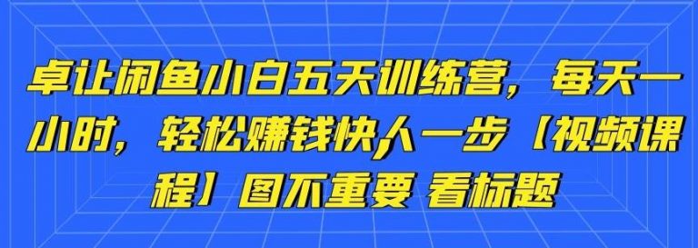 卓让闲鱼小白五天训练营，每天一小时，轻松赚钱快人一步-资源云