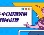 新手小白都能火的短视频必修课,教你三天就能上热门的短视频IP技术-资源云