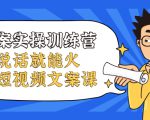 文案实操训练营,只说话就能火的短视频文案课-资源云