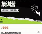 夜草与千里马素人短视频带货集训营,薛辉团队价值599-资源云