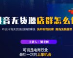 蟹老板·抖音无货源店群怎么做,吊打市面一大片《抖音无货源店群》的课程-资源云