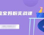 百度贴吧引流宝妈粉实战课,小白也可以日引100+精准粉-资源云
