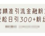1套精准引流金融粉方法,轻松日引300+粉丝-资源云