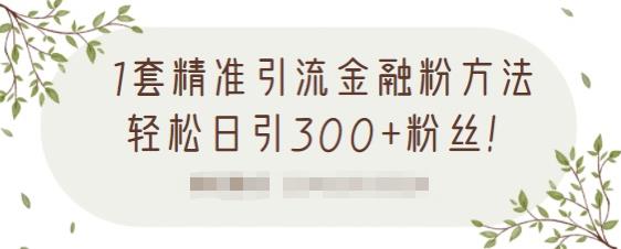 1套精准引流金融粉方法，轻松日引300+粉丝-资源云