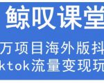 鲸叹号·海外TIKTOK训练营,百万项目海外版抖音tiktok流量变现玩法-资源云