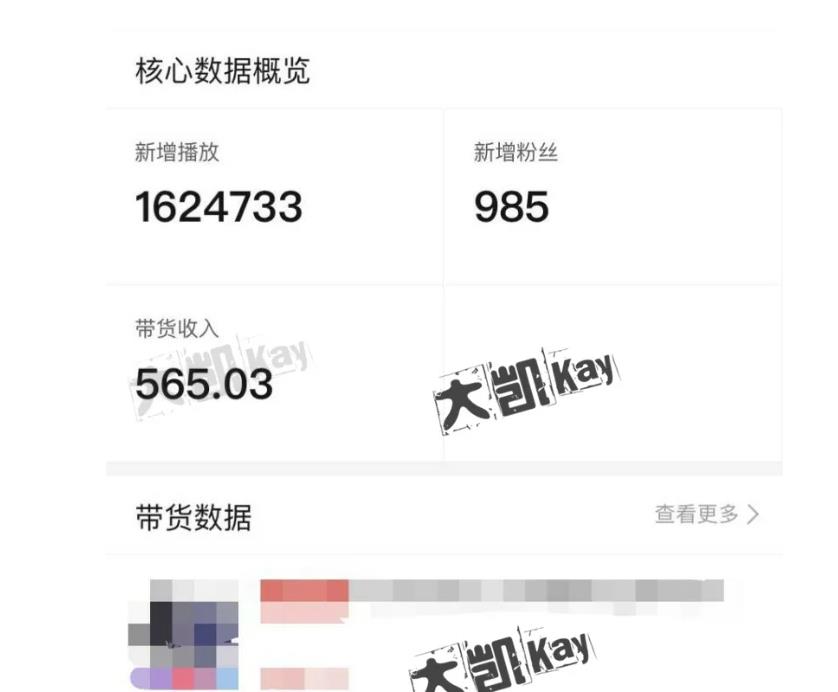 大凯进阶圈新玩法之拼多多视频玩法，利润大概一个号一天能有500~1500的左右!-资源云