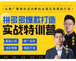 玺承云·拼多多爆款打造实战特训营,一套从入门到高手课程,让你快速拿捏拼多多-资源云