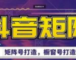 高鹏圈·抖音带货矩阵项目,起号成功率100%,出单率100%!-资源云