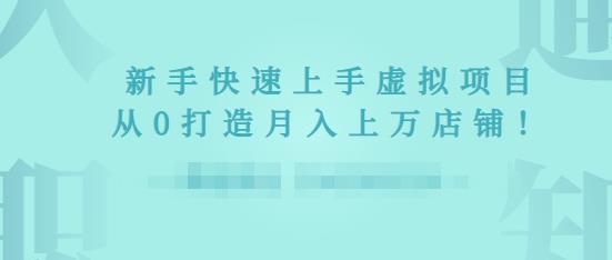 2022年虚拟项目实战指南，新手从0打造月入上万店铺-资源云