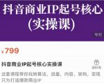 抖音商业IP起号核心实操课,带你玩转算法,流量,内容,架构,变现-资源云