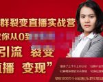 蚂蚁社群电商·社群裂变直播实战营,教你从0到1实现引流、裂变、直播、变现-资源云