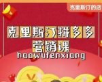 克里斯汀拼多多运营课,适合小白初涉平台,低成本入门-资源云