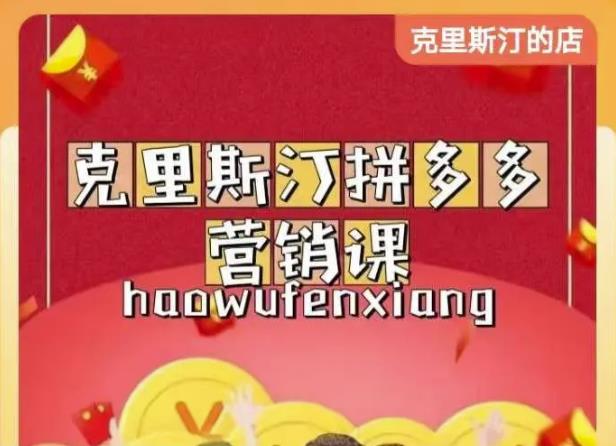 克里斯汀拼多多运营课，适合小白初涉平台，低成本入门-资源云