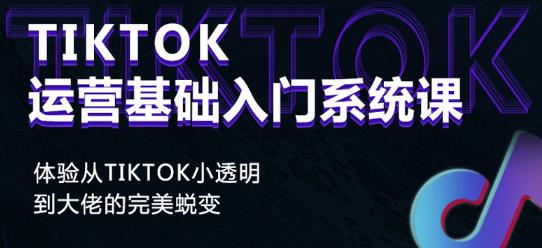 Tiktok实操进阶课程，体验从tiktok小透明到大佬的完美蜕变-资源云