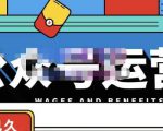 零零已久·从0-1运营公众号,零基础小白也能上手,系统性了解公众号运营-资源云