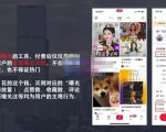 麦子互娱短视频带货·0基础做好物分享账号,无需出镜无需货源无需拍摄-资源云