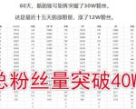 倪叶明·蓝海公众号矩阵项目训练营,0粉冷启动,公众号矩阵账号粉丝突破30w-资源云