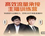 高效流量承接主播训练营:快速提升主播能力,实现100万销售直播间-资源云