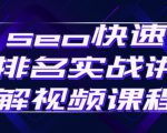 seo快速排名实战讲解视频课程,揭秘seo快排原理-资源云