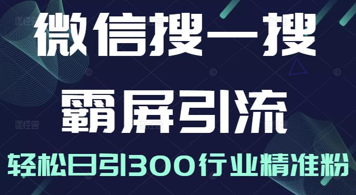 微信搜一搜霸屏引流课，打造被动精准引流系统，轻松日引300行业精准粉-资源云