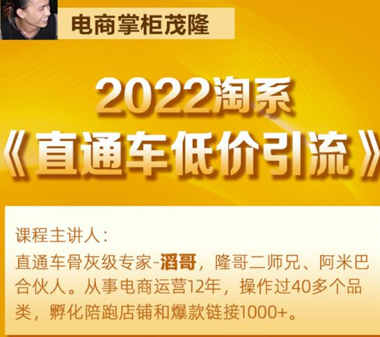 茂隆2022直通车低价引流玩法，教大家如何低投入高回报的直通车玩法-资源云