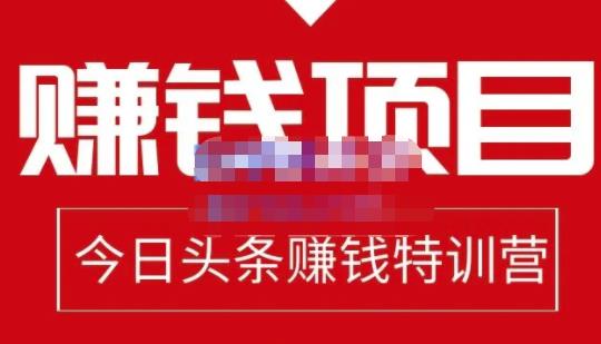 懒人领域·今日头条项目玩法，头条中视频项目，单号收益在50—500可批量-资源云