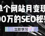单个网站月变现100万的SEO秘密,百分百做出赚钱站点-资源云