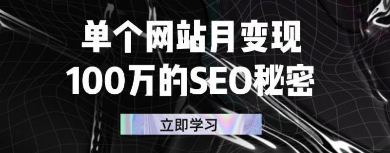 单个网站月变现100万的SEO秘密，百分百做出赚钱站点-资源云