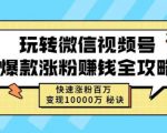 玩转微信视频号爆款涨粉赚钱全攻略,快速涨粉百万变现万元秘诀-资源云