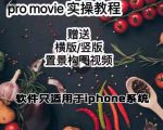 漆十二美食摄影,25节promovie实操高手课节-资源云