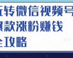 玩转微信视频号爆款涨粉赚钱全攻略,让你快速抓住流量风口,收获红利财富-资源云