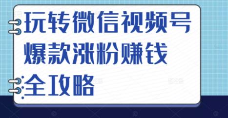 玩转微信视频号爆款涨粉赚钱全攻略，让你快速抓住流量风口，收获红利财富-资源云