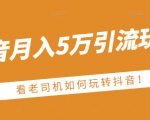 老古董·抖音月入5万引流玩法,看看老司机如何玩转抖音(附赠:抖音另类引流思路)-资源云