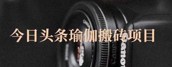 猎人社区·今日头条瑜伽搬砖项目，单号一天几十收入，可以批量操作！-资源云