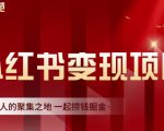 渣圈学苑·小红书虚拟资源变现项目，一起捞钱掘金价值1099元-资源云