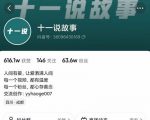 十一说故事·故事性中视频,观众快速共鸣从而快速变现的中视频玩法-资源云