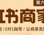 贾真-小红书商家营第6期商家版,21天带货陪跑课,让商家丢掉付流量-资源云