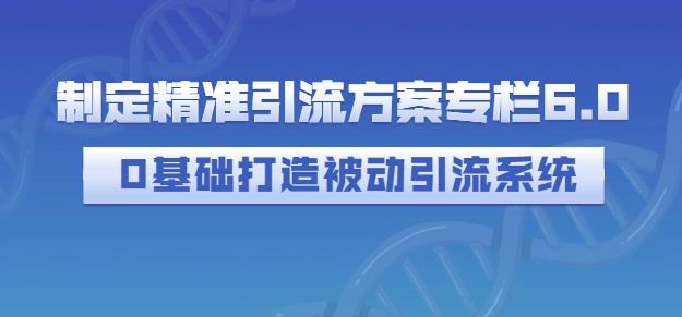 制定精准引流方案专栏6.0，0基础打造被动引流系统-资源云