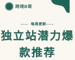 【跨境B哥】独立站潜力爆款选品推荐,测款出单率高达百分之80-资源云