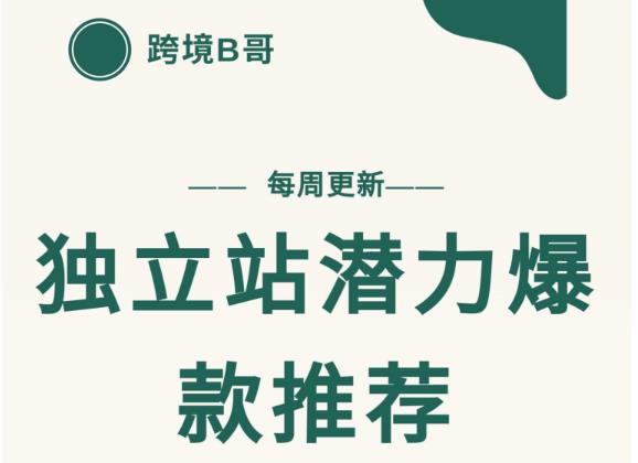 【跨境B哥】独立站潜力爆款选品推荐，测款出单率高达百分之80-资源云